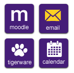 screenshot of myLSU Portal, email button highlighted.